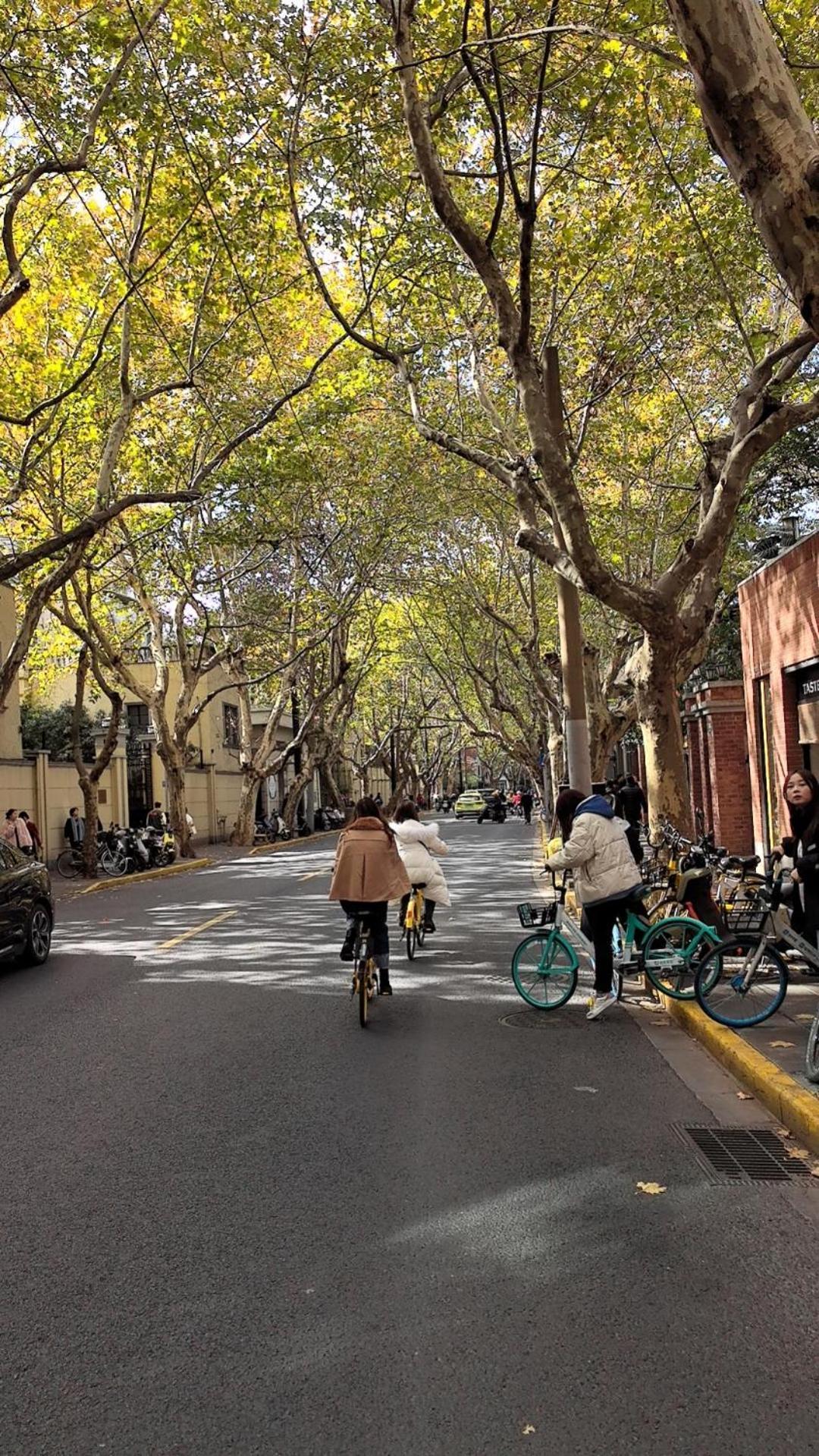 Căn hộ Yi Du - 150m Walk From Exit 5 Of Jiashan Road Metro Station